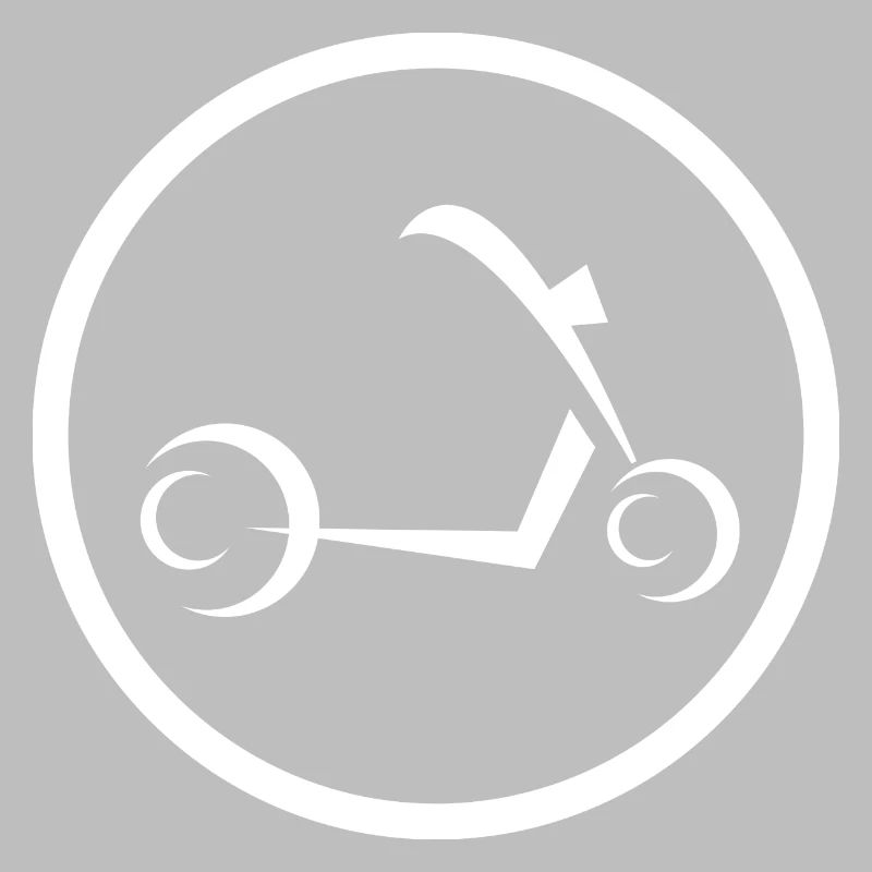 E-Scooter E-Roller Scooter