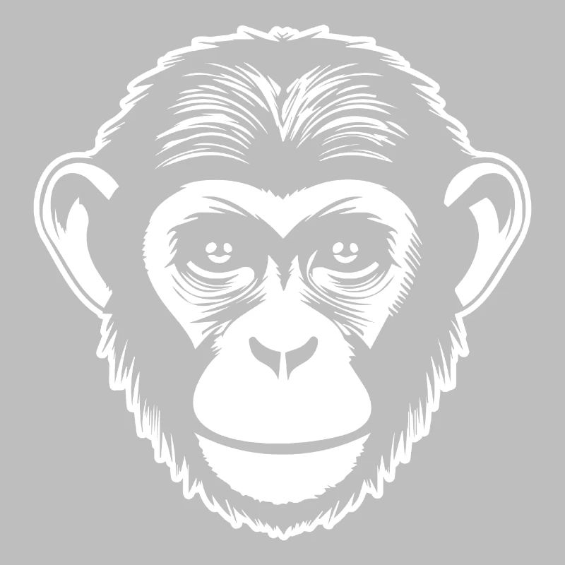 Singe Singe Visage de Singe Jungle
