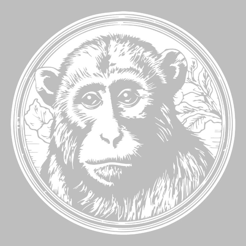 Singe Singe Visage de Singe Jungle