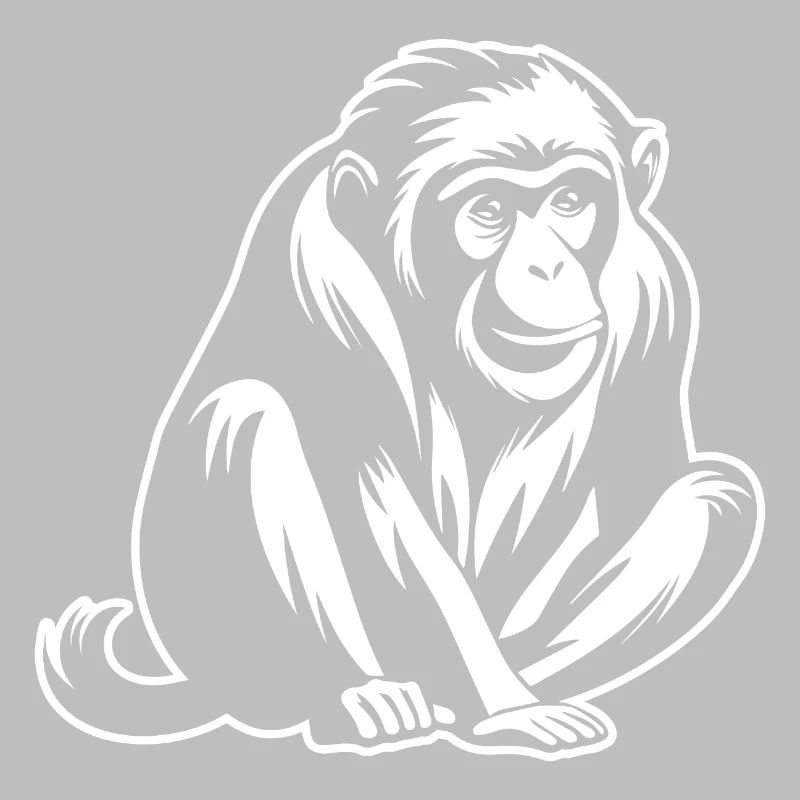 Singe Singe Visage de Singe Jungle