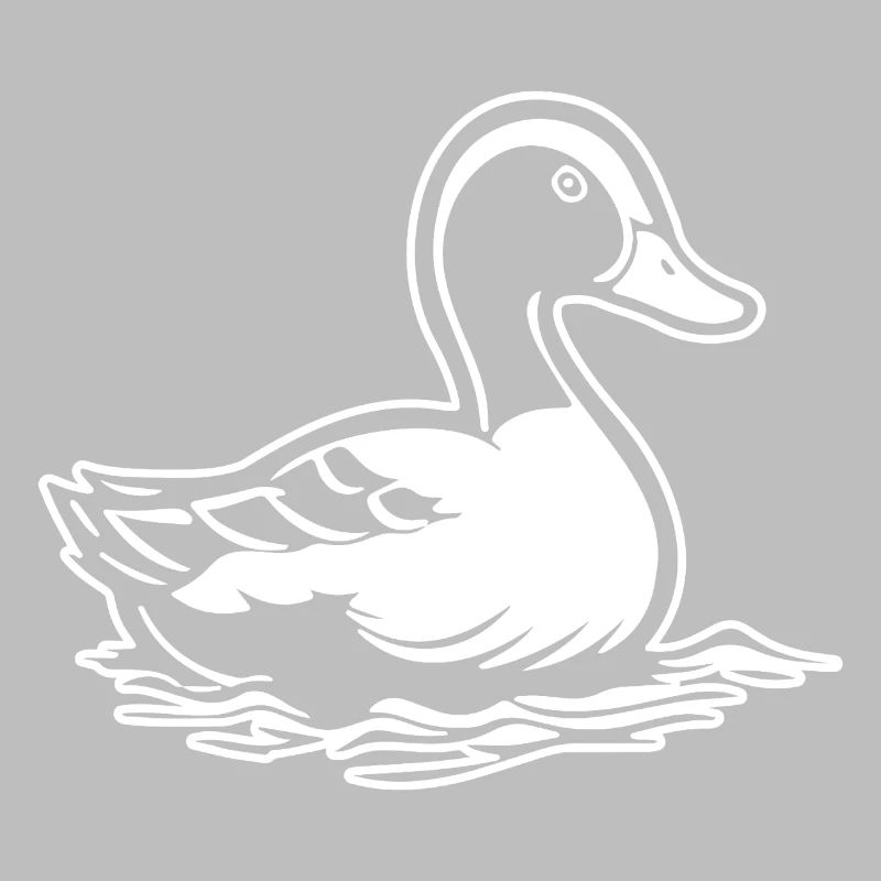Canard Oiseaux Canards