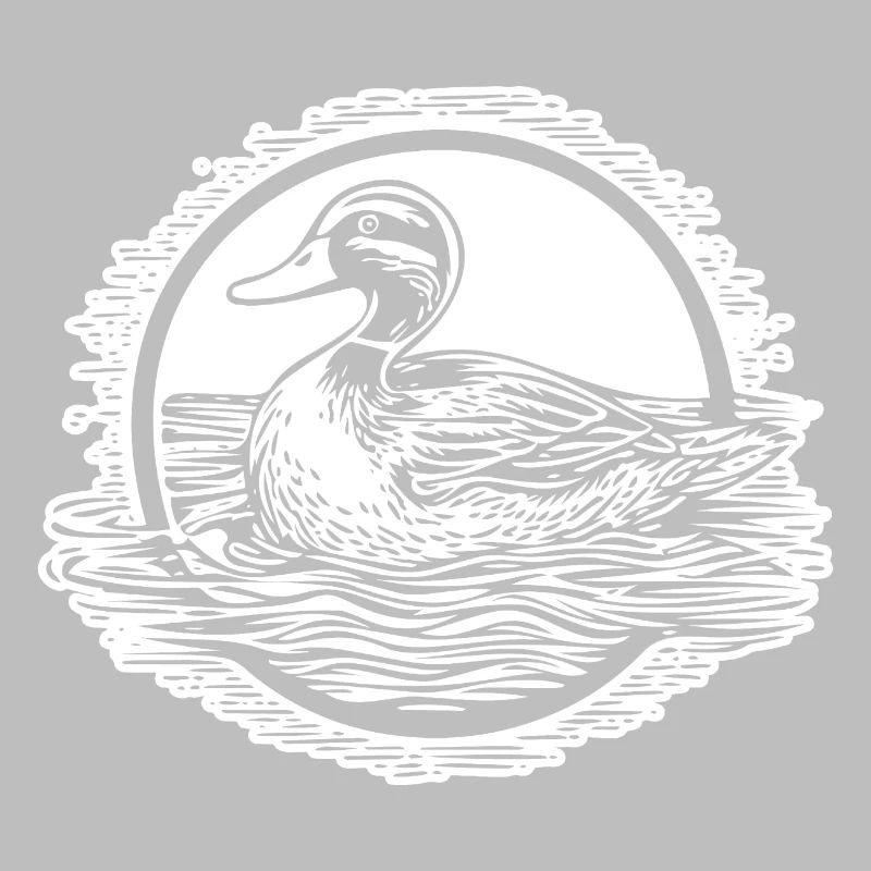 Canard Oiseaux Canards