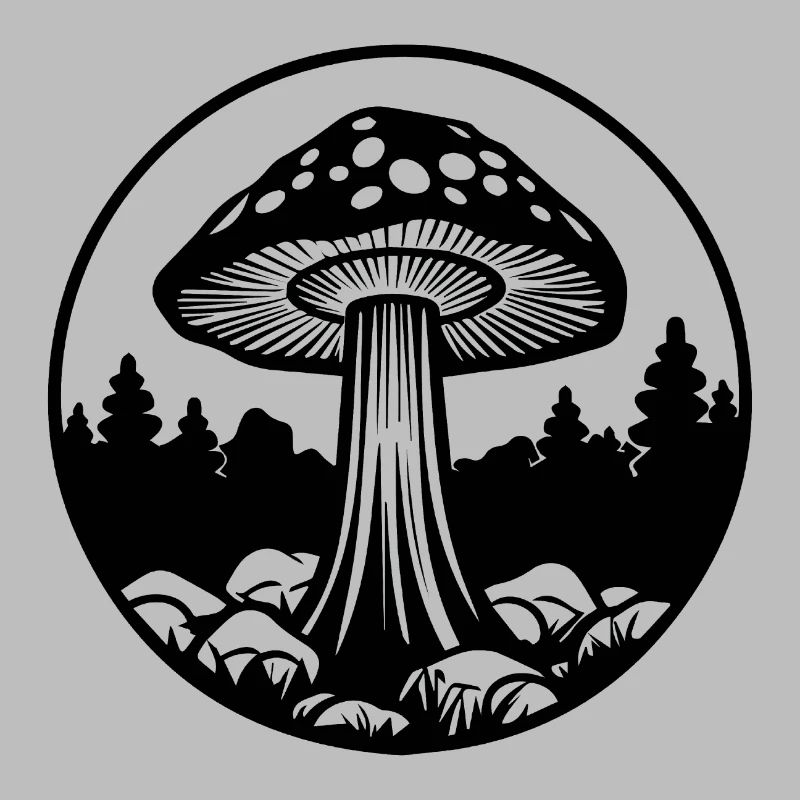 Champignon Cueilleur de champignons Champignons Champignons
