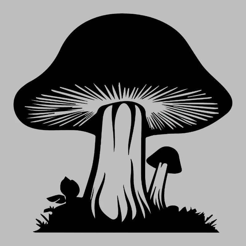 Champignon Cueilleur de champignons Champignons Champignons