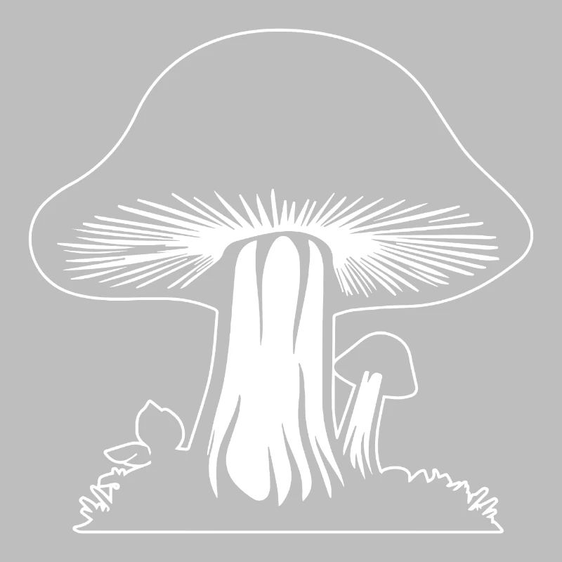 Champignon Cueilleur de champignons Champignons Champignons