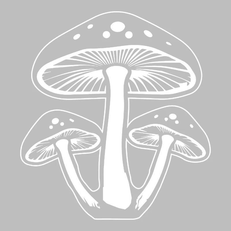 Champignon Cueilleur de champignons Champignons Champignons