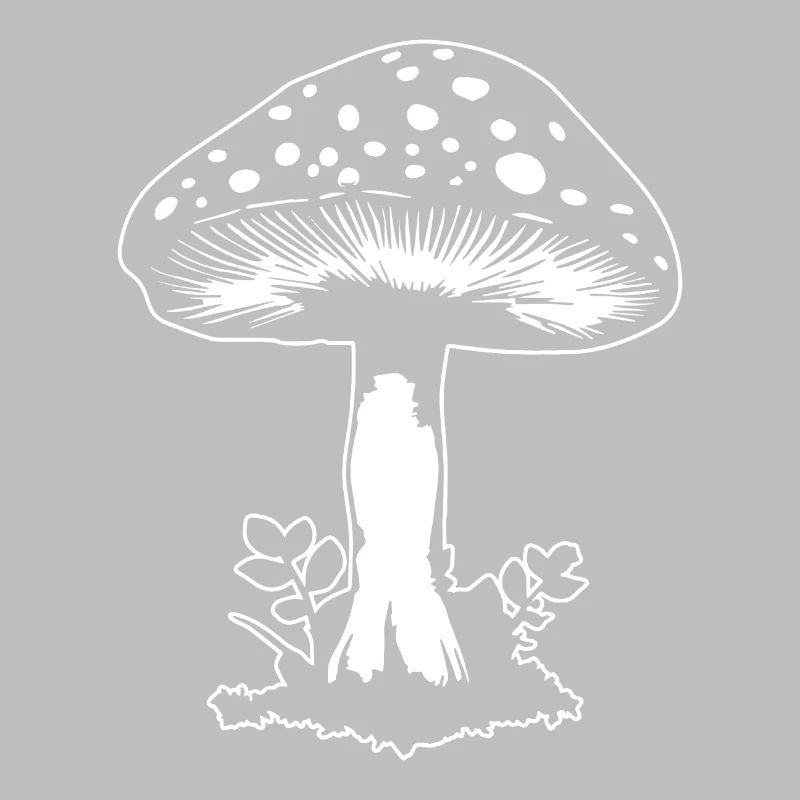 Champignon Cueilleur de champignons Champignons Champignons