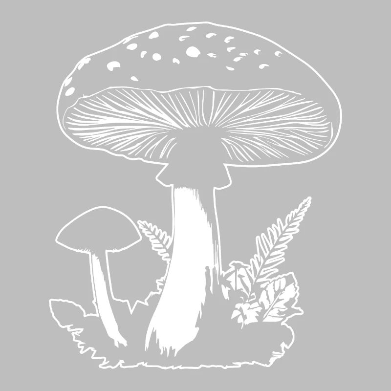 Champignon Cueilleur de champignons Champignons Champignons