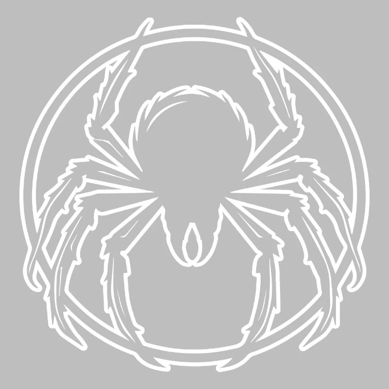 Araignée araignées animaux