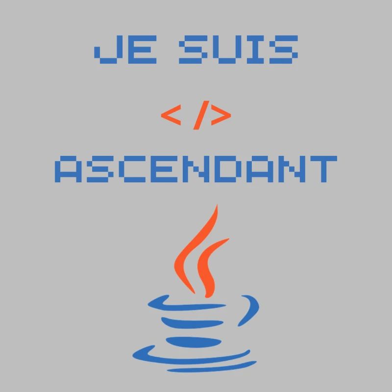 cadeau pour développeur java