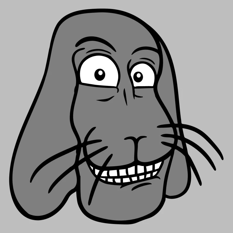 Bunny Rabbit Funny Face Grimace Grin