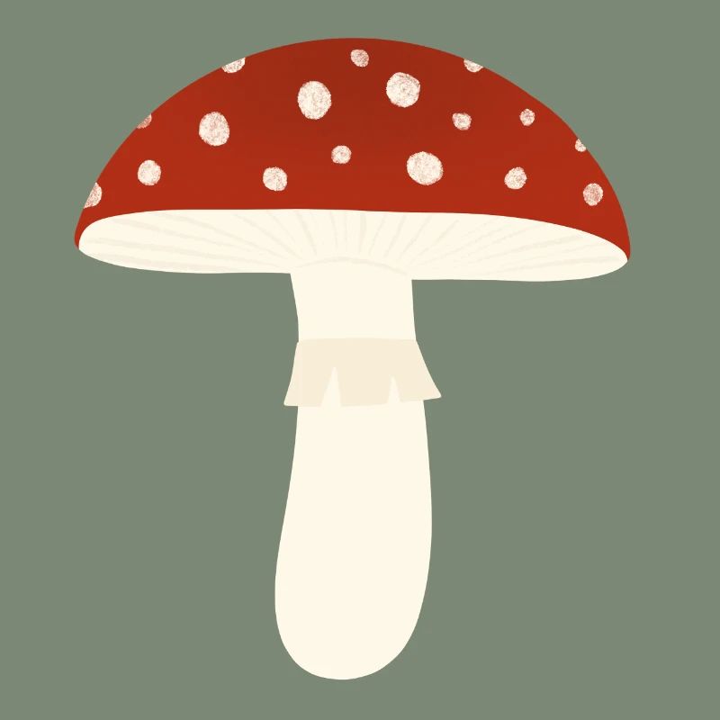 Toadstool Fly Agaric Mushroom