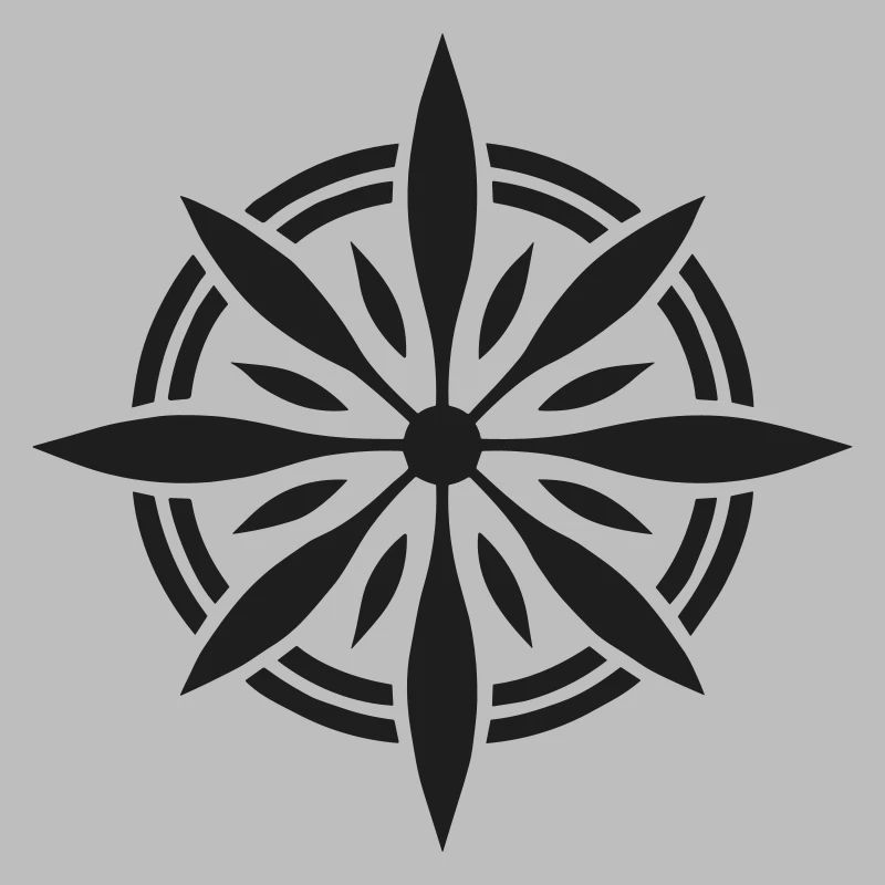 Precision Navigator: Compass