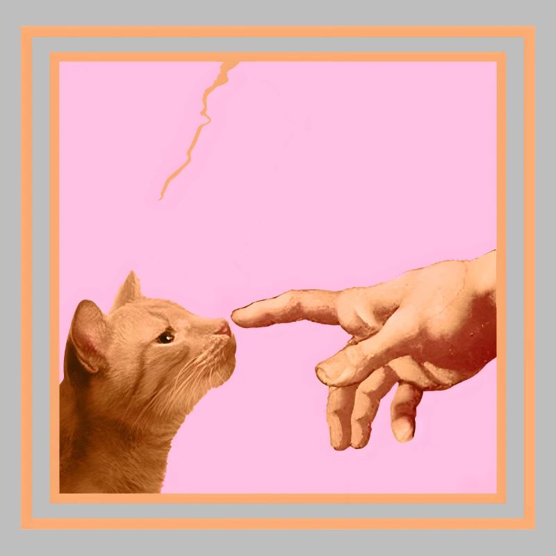 Chat