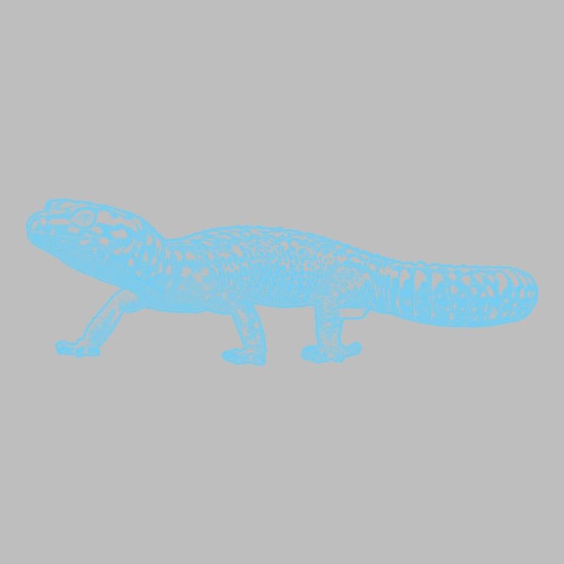 Gecko léopard