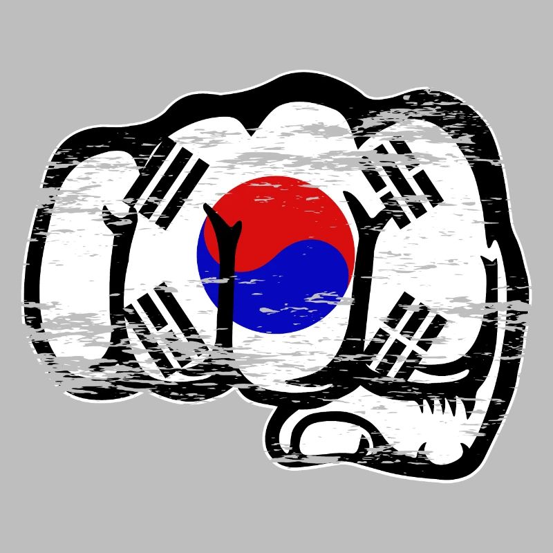 Südkorea Flagge Hand Faust used