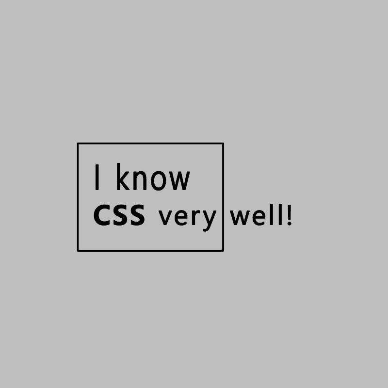 Web developer - CSS