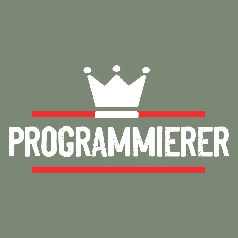 Programmierer Beruf