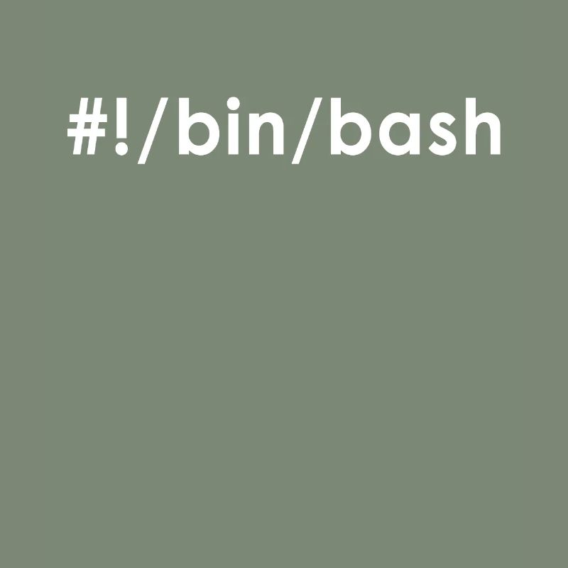 Programmierer Admin Devops Linux Bash