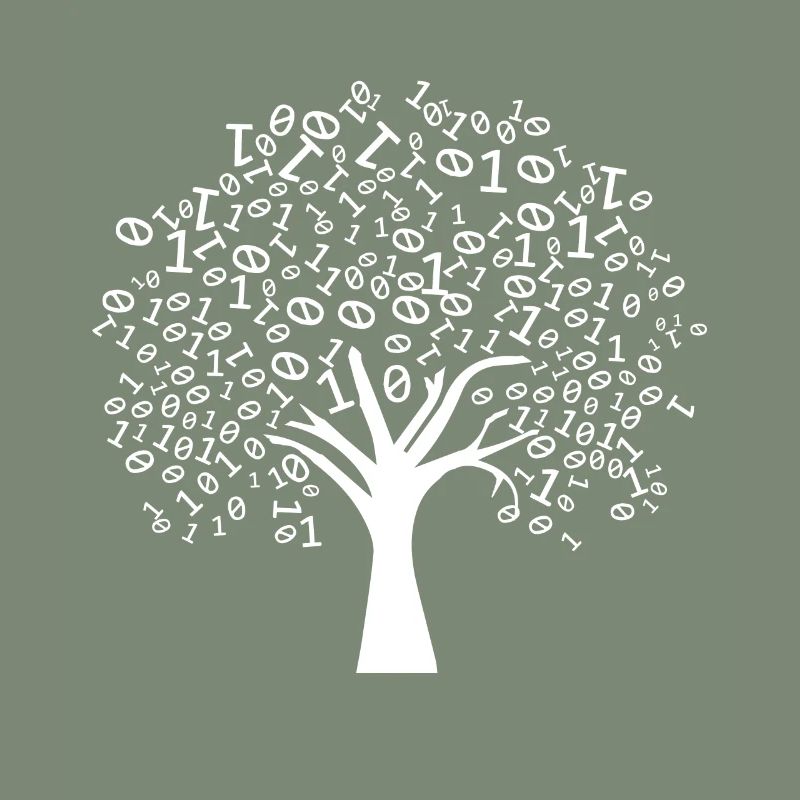 Programmierer Binärer Baum