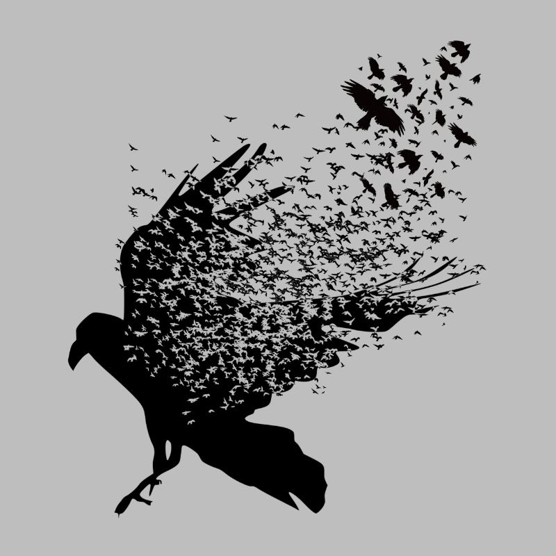 Vikings - Walhalla ravens graphic