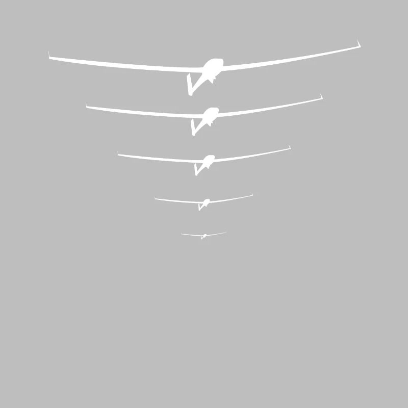 Glider pilot glider flying glider