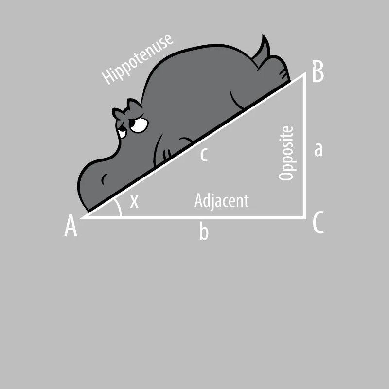 Mathe Pythagore Hypothenuse Hippopotame