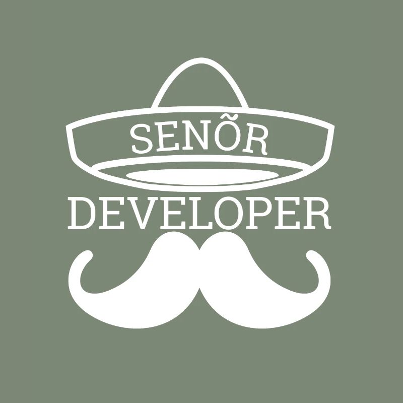 « Senor Developer, Senior Developer » | Programmeurs