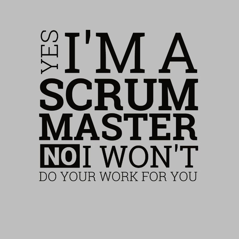"Scrum Master" | Programmierer