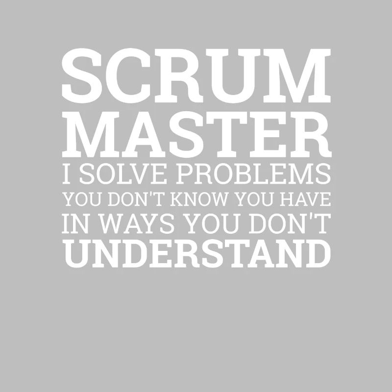 « Scrum Master » |