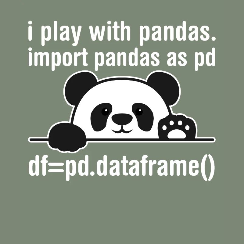 Programmeur Python Programmation panda nerd informatique