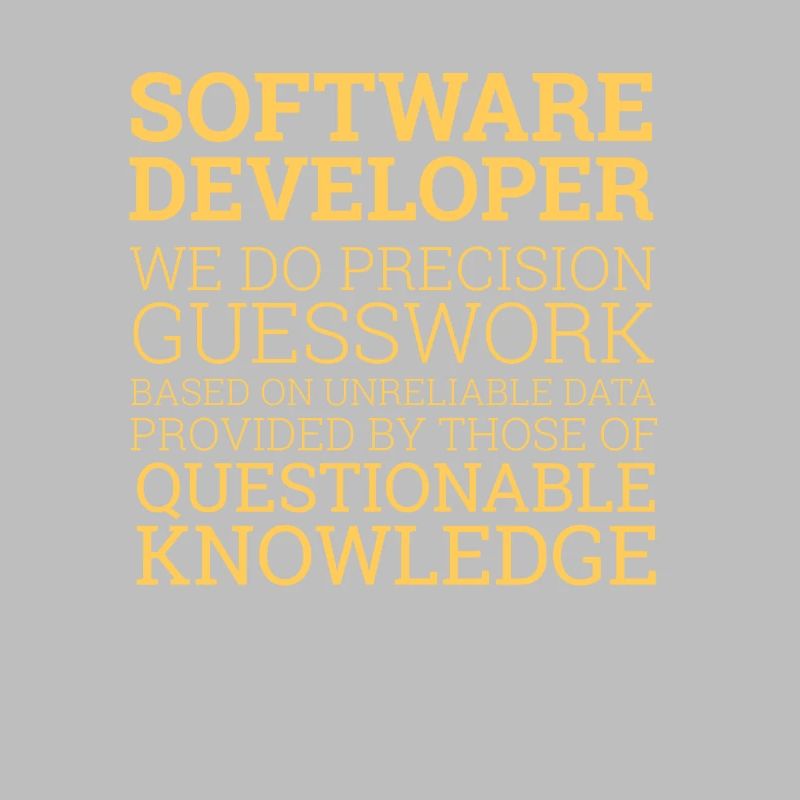 "Software Developer" | Programmierer