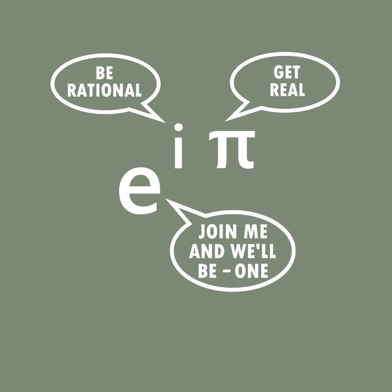 Mathematician Gift Math Teacher Nerd Euler Pi
