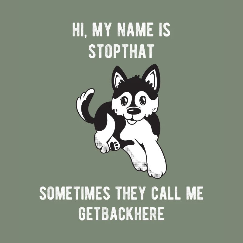 Mon nom est Stopthat Getbackhere Pomsky Hyper Dog