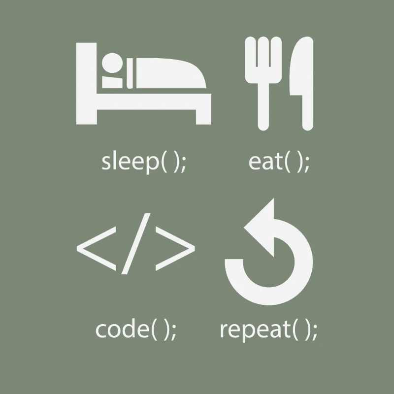 Programmer Developer - Eat Sleep Code Repeat