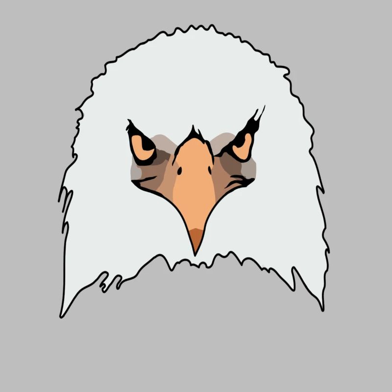 Eagle eagle motif eagle imprint bald eagle