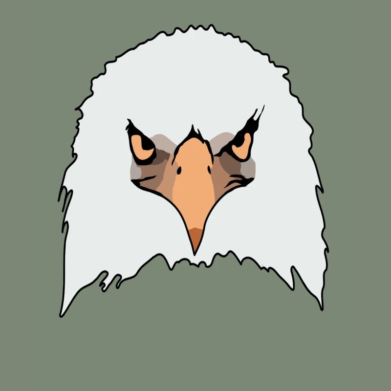 Eagle eagle motif eagle imprint bald eagle