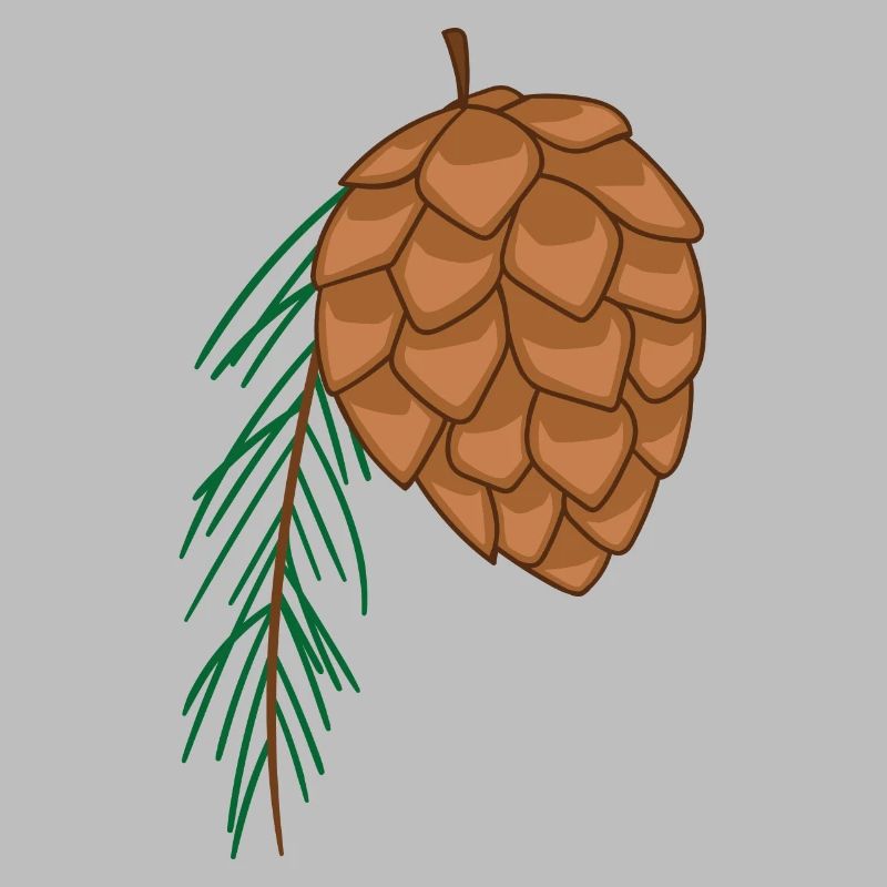 fir cone