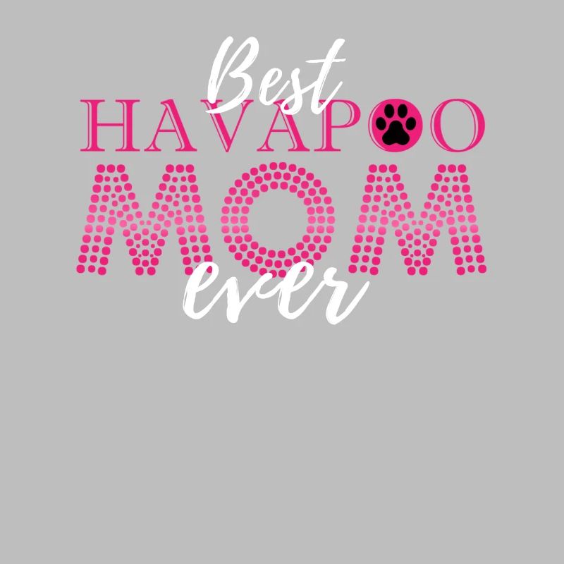 havapoo, havapoo havapoo himmel, Pudel Mischling,