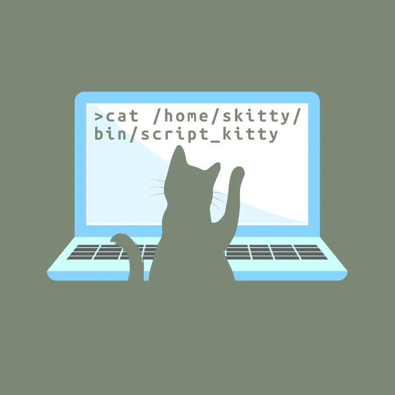 Chat comme codeur codeur propriétaire de chat