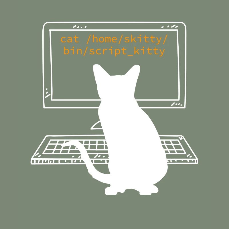 Cat Owner Cat Programmer Computer Science