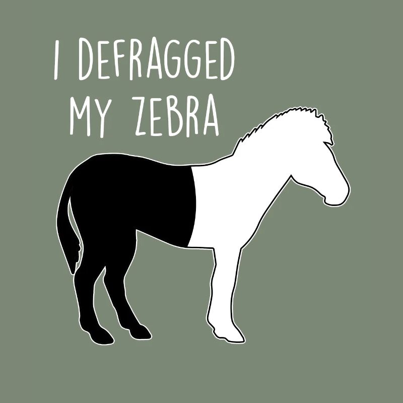 I defragged my Zebra Coder Informaticien Hacker