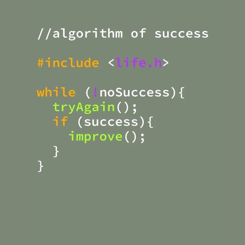 Success of successful programmer algorithm
