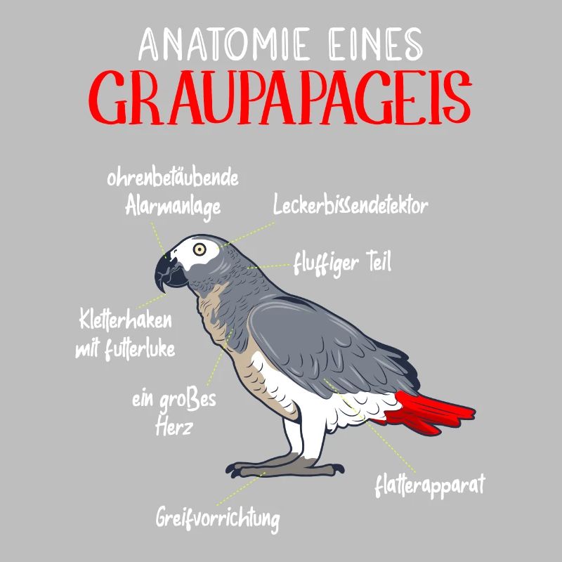 Anatomie eines Graupapageis Vogel Vogelhalter