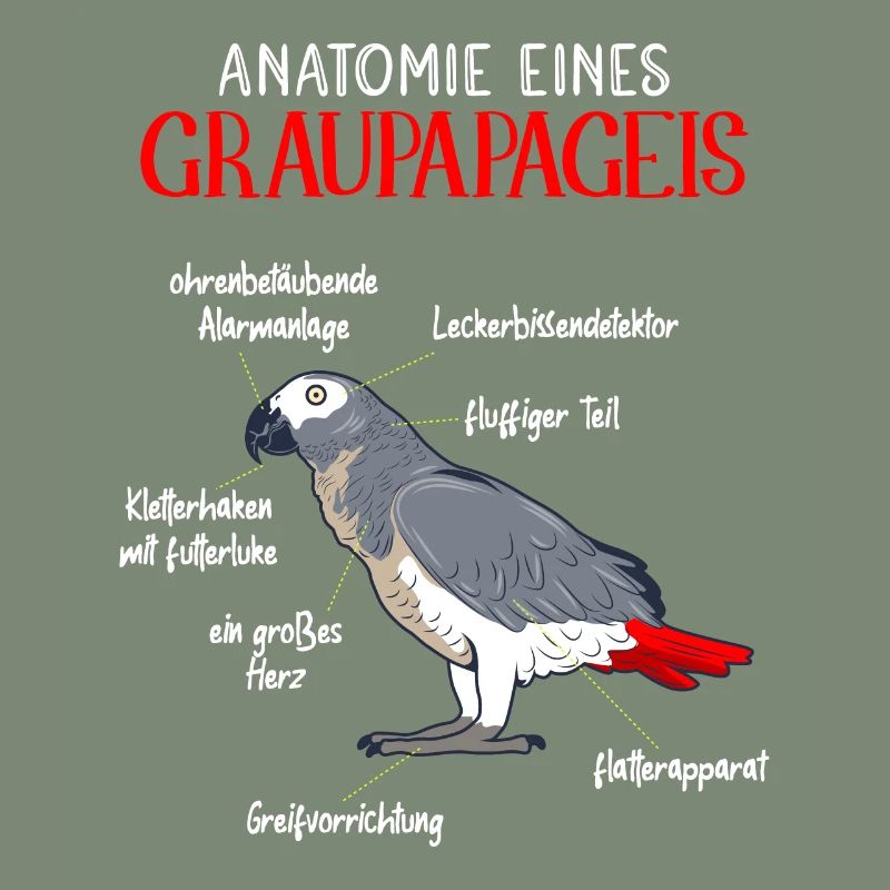 Anatomie eines Graupapageis Vogel Vogelhalter