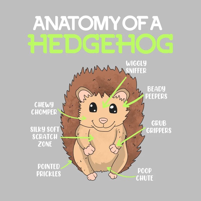 Anatomie d’un hérisson