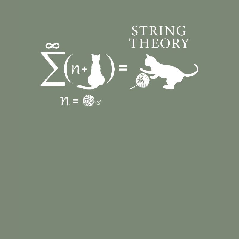 String Theory Cat Infinity