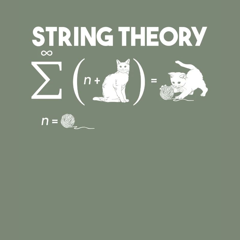 Cat String Theory Wool Quantum Mechanics Math