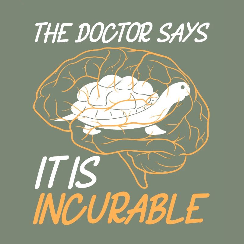 Tortues tortues