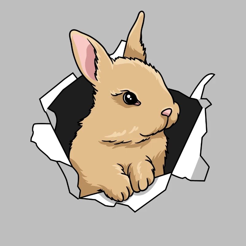 Rabbit Rabbit Crack Rabbit Animal Rabbit Breakthrough